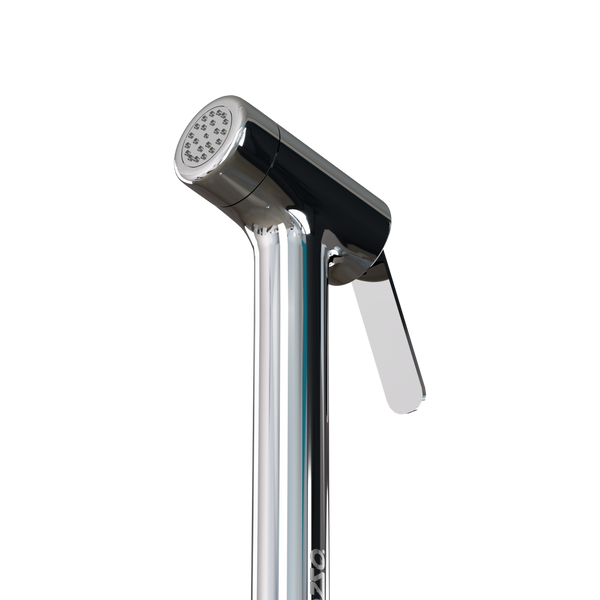 Brass Pro - X2 | Health Faucet Set hover